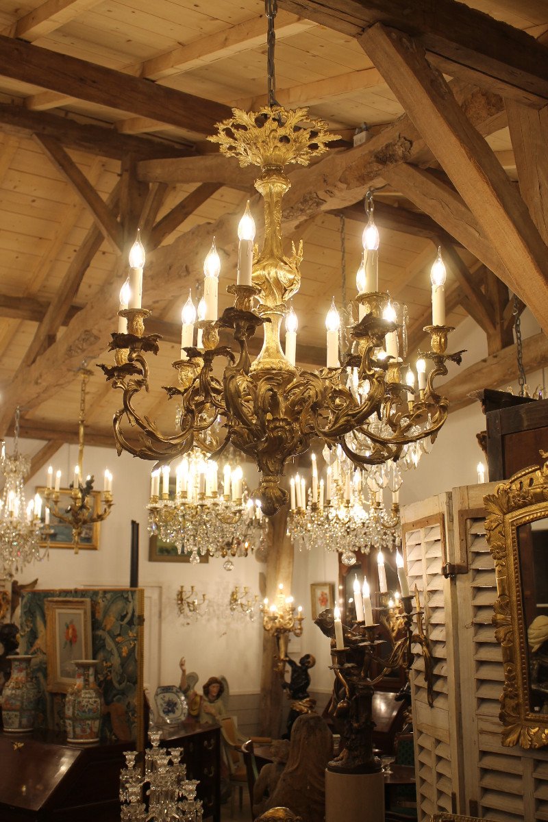 Important Louis XV Rocaille Style Chandelier In Gilt Bronze With 12 Lights-photo-6