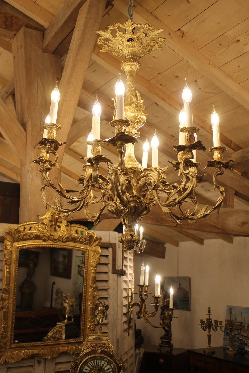 Important Louis XV Rocaille Style Chandelier In Gilt Bronze With 12 Lights-photo-7