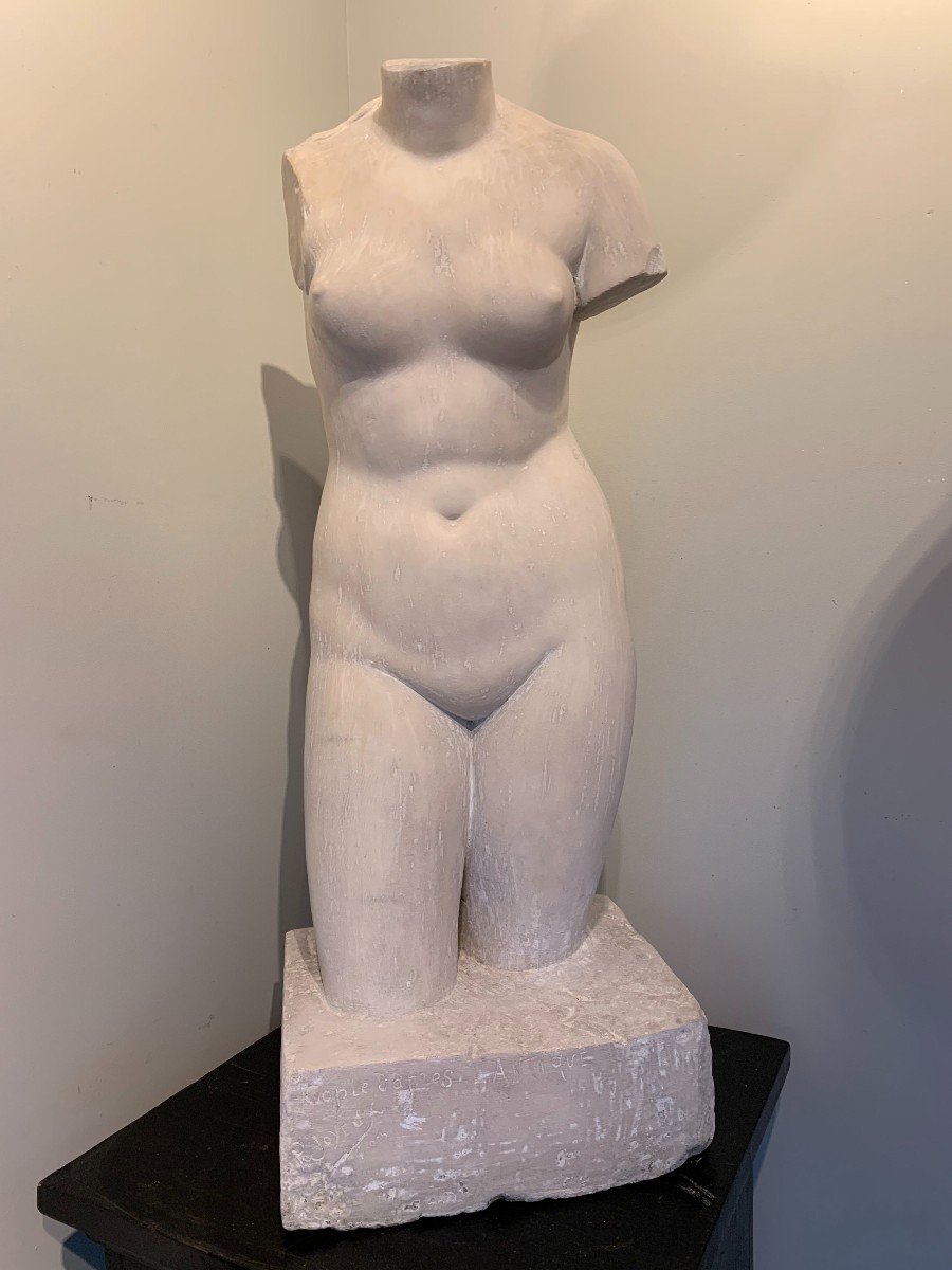 Buste En Marbre De Carrare d'Après l'Antique - Signé Joyeux - Daté 1905 - Aphrodite De Cnide