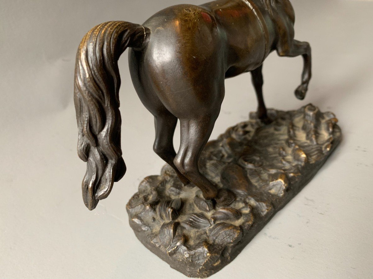 Bronze Horse - 19th Century -photo-2