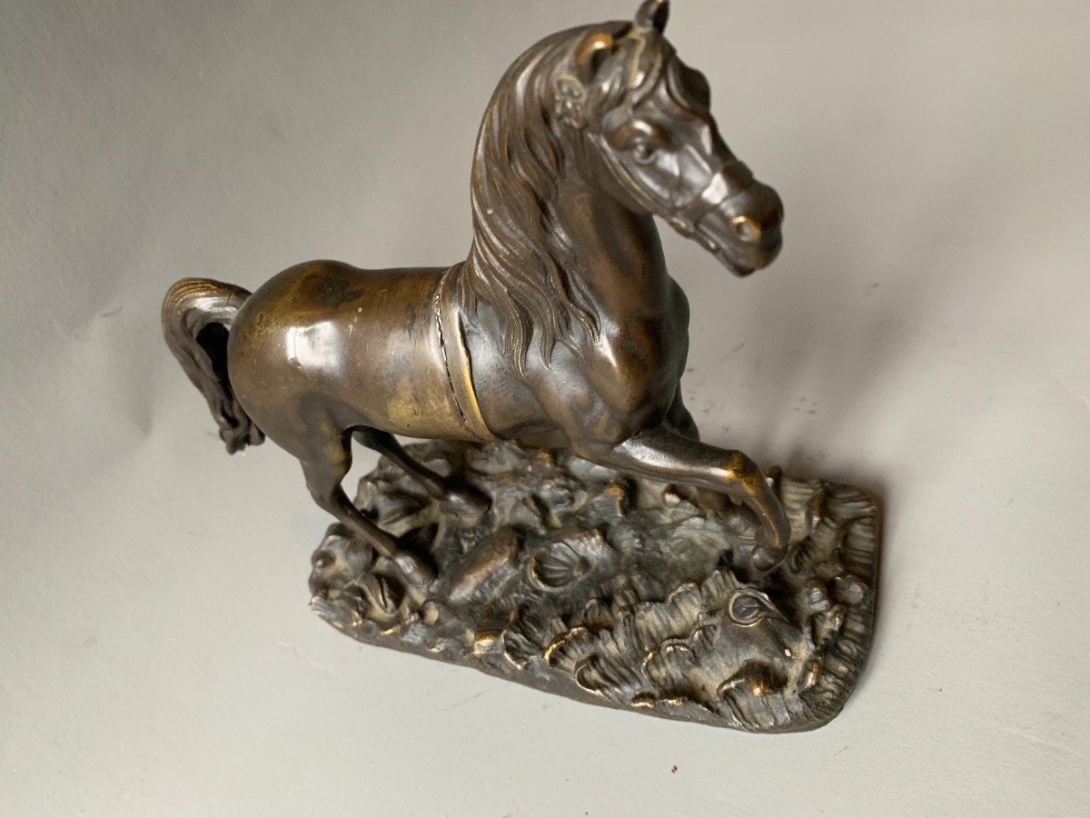 Bronze Horse - 19th Century -photo-4