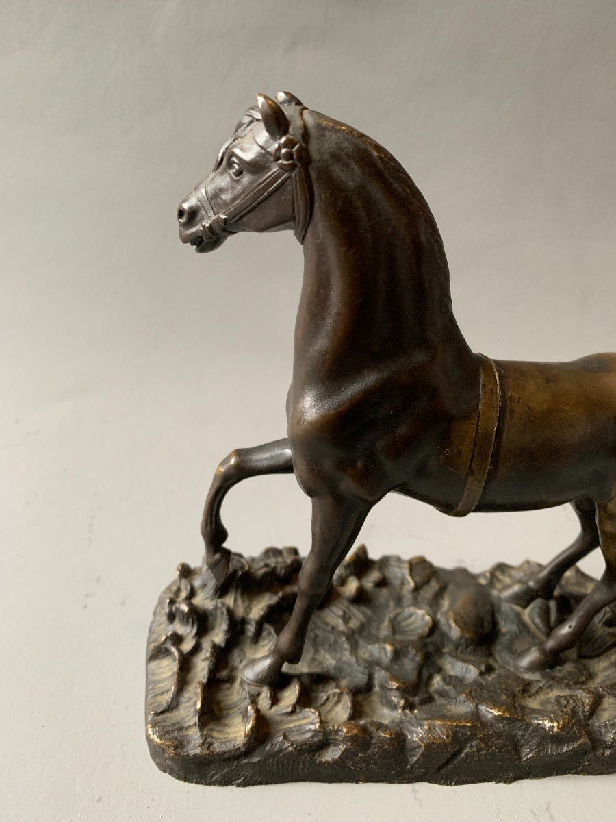 Bronze Horse - 19th Century -photo-2