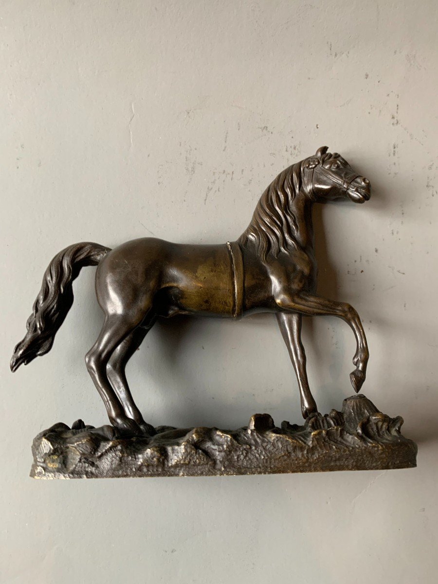 Bronze Horse - 19th Century -photo-5