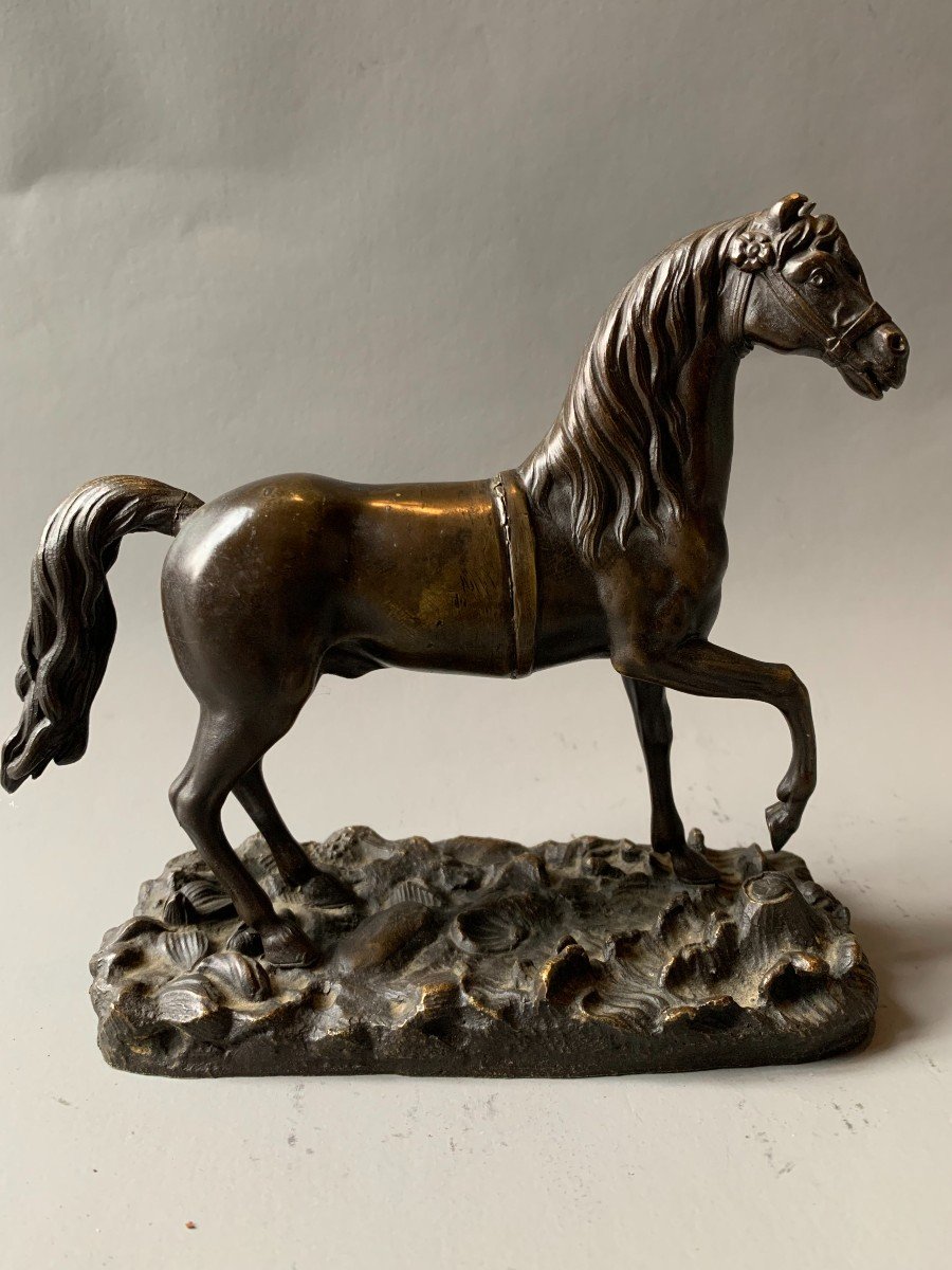 Bronze Horse - 19th Century 