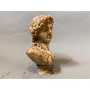 Alabaster Bust - 18th Century - After Antique