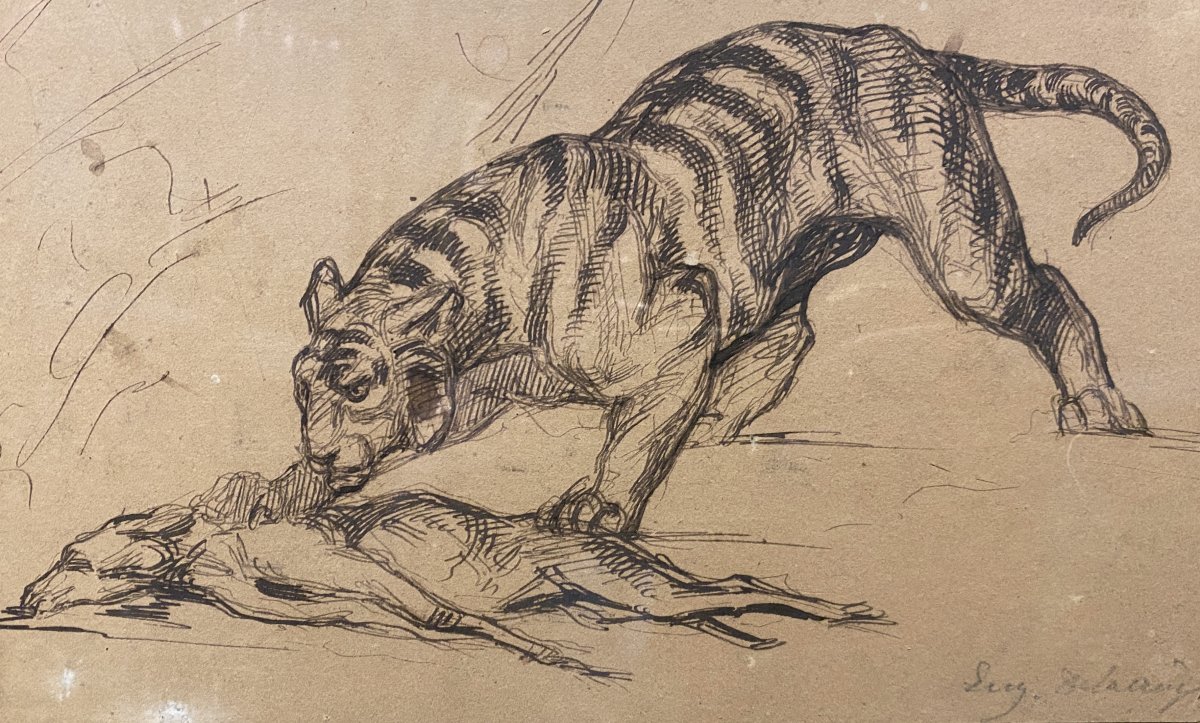 Eugène Delacroix (attributed To) - Pen And Ink Drawing - Tiger Study