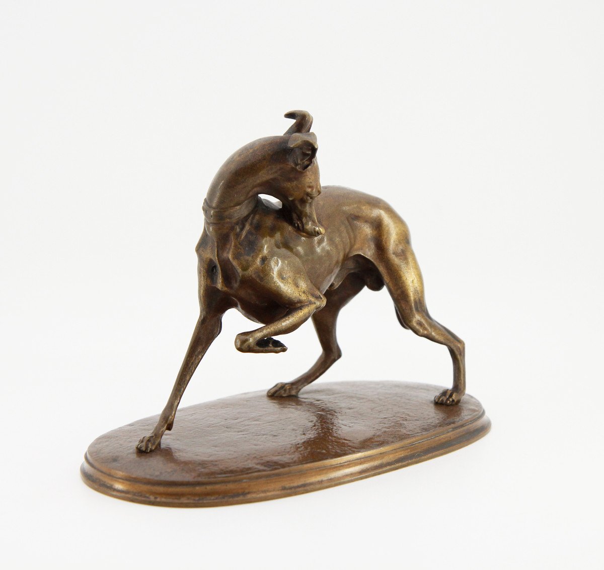 After Alfred Barye (1839-1882), Greyhound With Raised Paw, Unsigned Bronze -photo-2