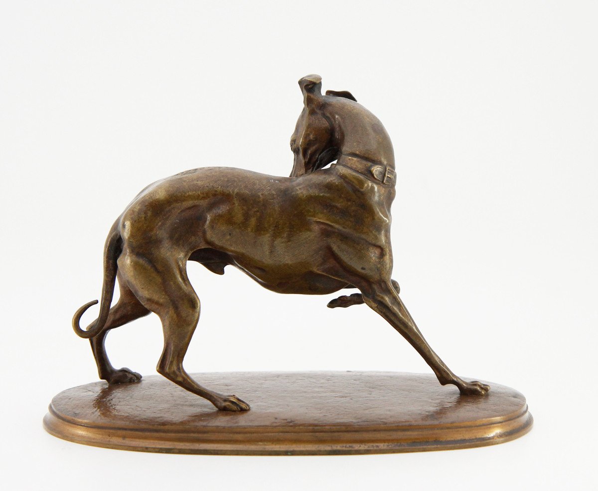 After Alfred Barye (1839-1882), Greyhound With Raised Paw, Unsigned Bronze -photo-3