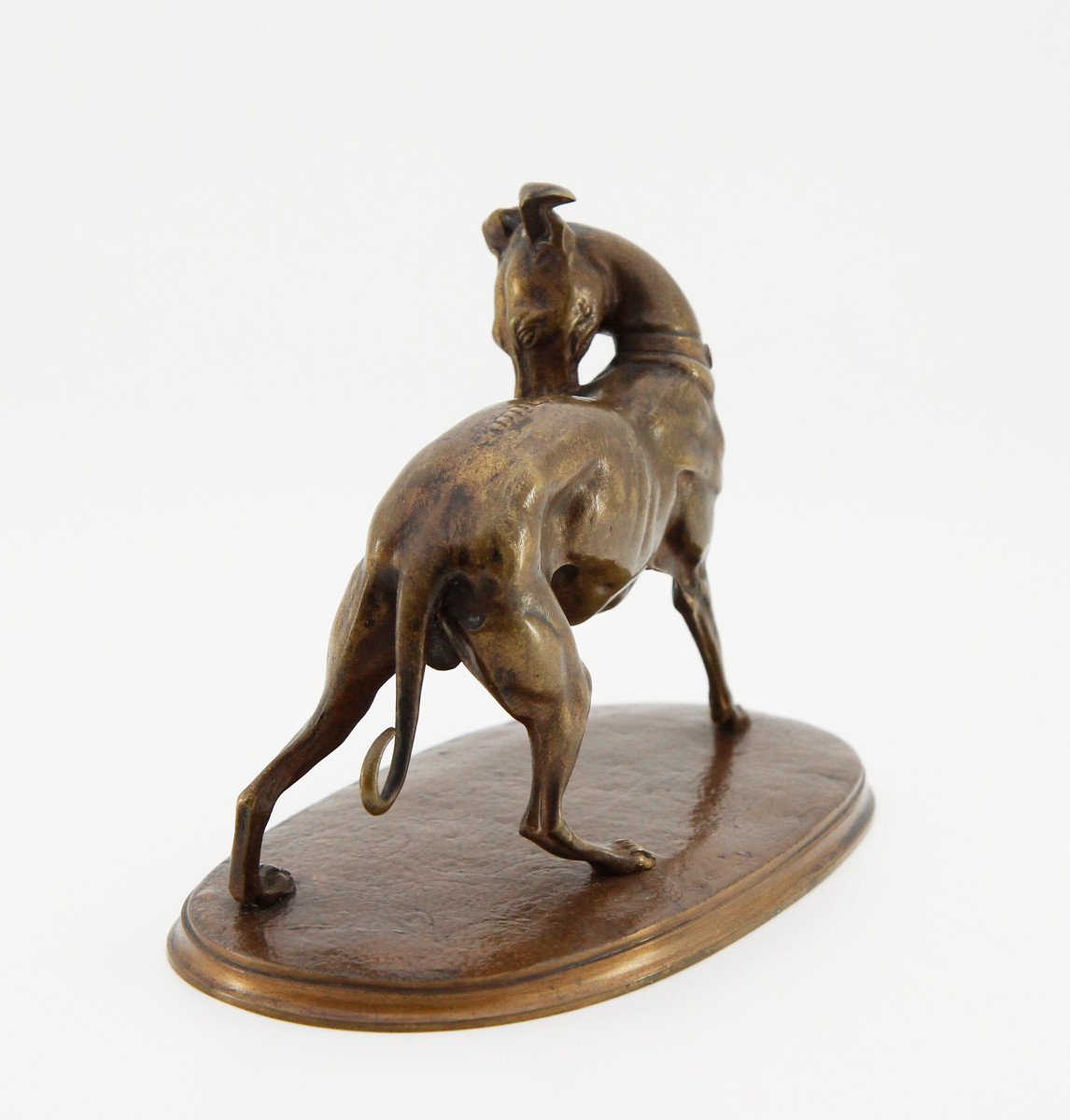 After Alfred Barye (1839-1882), Greyhound With Raised Paw, Unsigned Bronze -photo-4