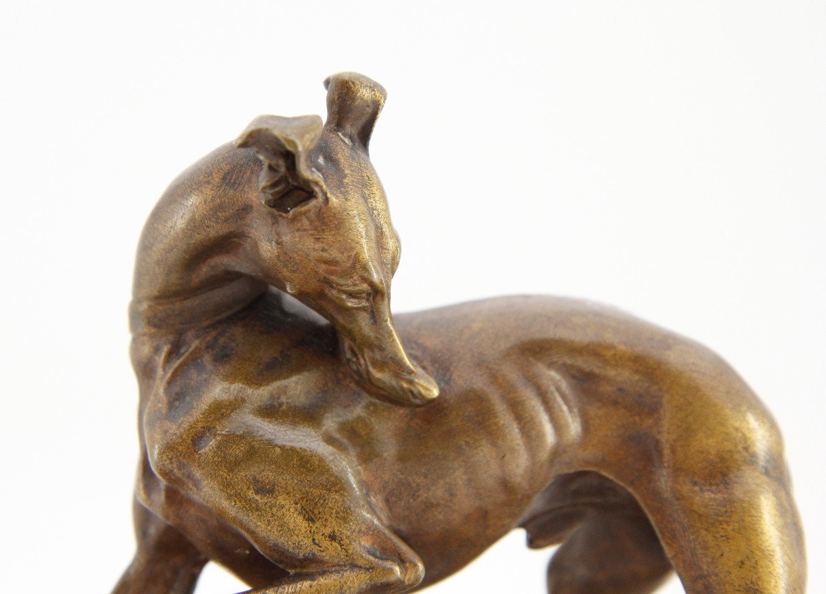 After Alfred Barye (1839-1882), Greyhound With Raised Paw, Unsigned Bronze -photo-6