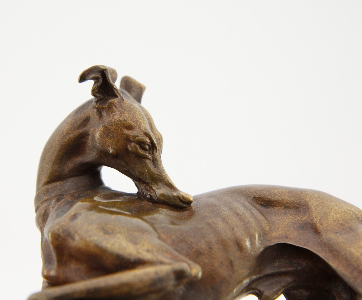 After Alfred Barye (1839-1882), Greyhound With Raised Paw, Unsigned Bronze -photo-7