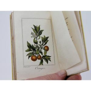 La Corbeille de Fruits par Charles Malo, planches rehaussées, Paris 1818 - rare