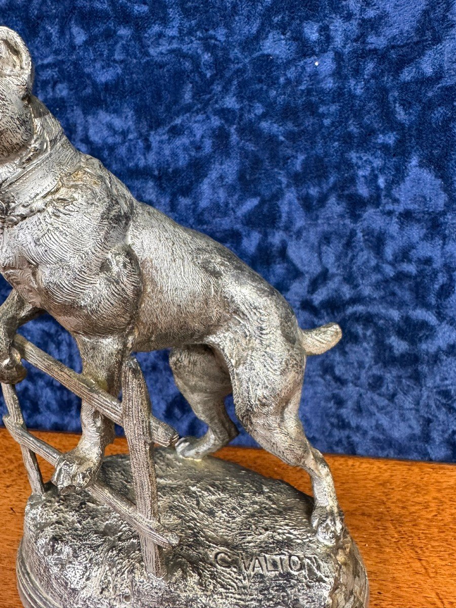 C.valton: Superb Bronze Watch Holder “the Bulldog” -photo-3