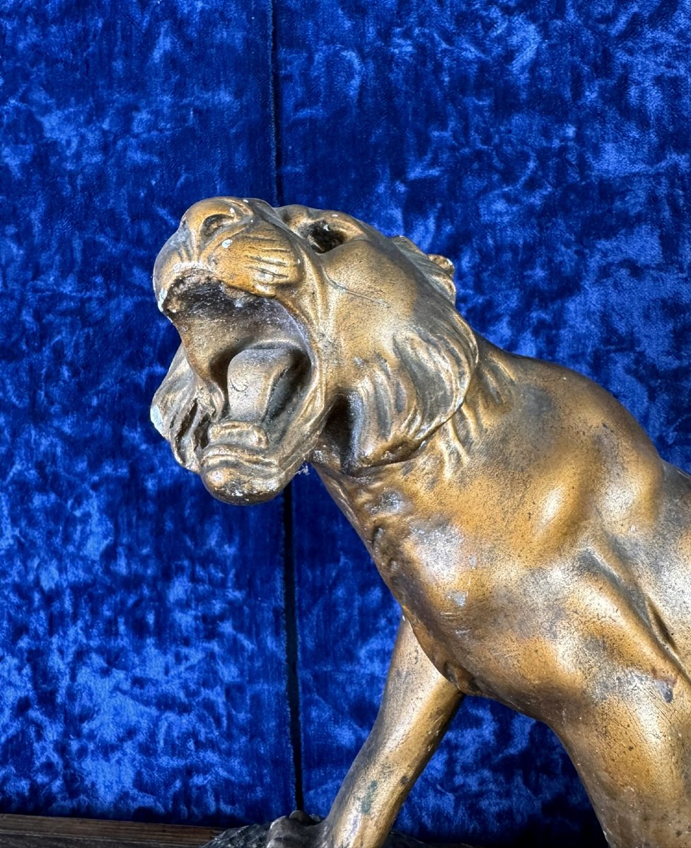After Cartier: Statue “roaring Lion” Patinated Plaster Bronze -photo-1