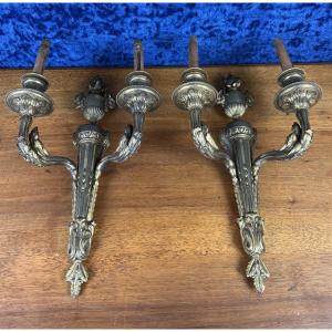 Superb And Important Pair Of Lxvi Style Wall Lights In Gilt Bronze 