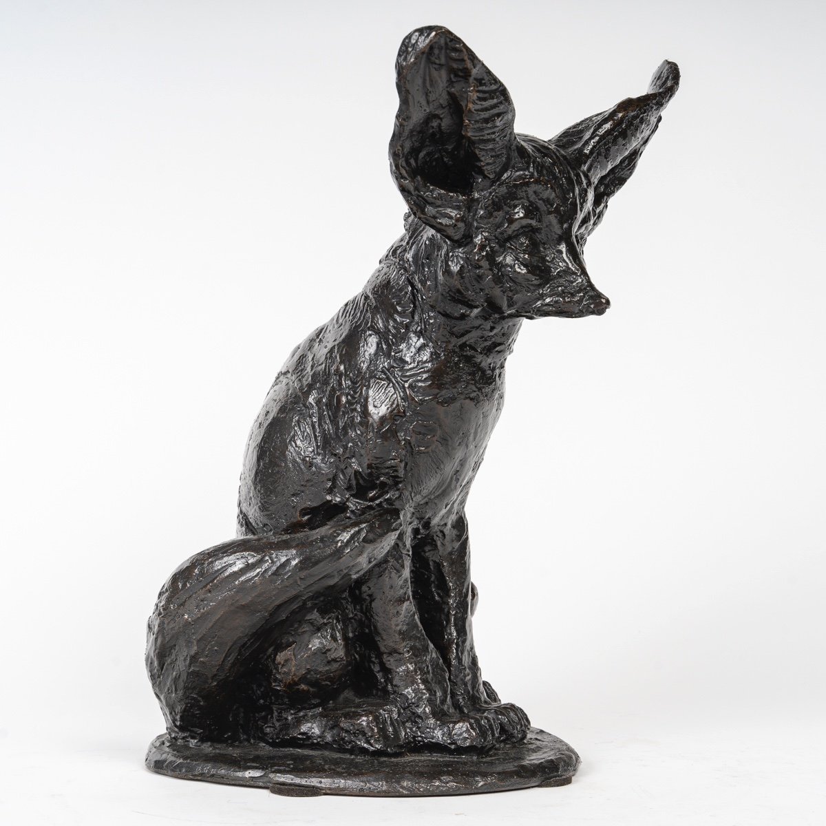 Bronze Sculpture Signed By Schutter Representing A Fennec Fox -photo-3