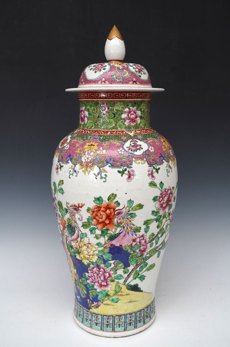 Pair Of Ginger Jars With Phoenix , China, 19th Century-photo-6