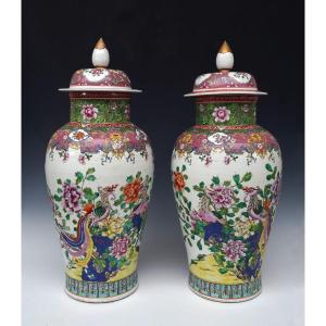 Pair Of Ginger Jars With Phoenix , China, 19th Century