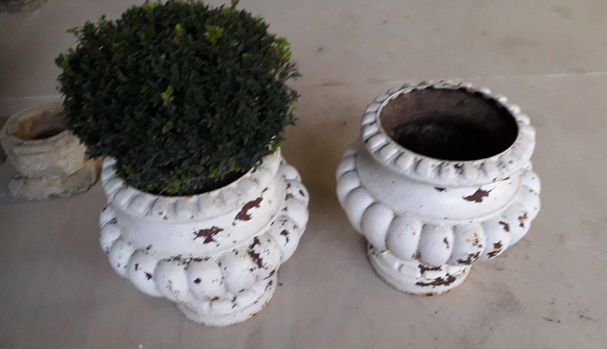 Pair Of Old Medici Style Cast Iron Godron Vases-photo-2