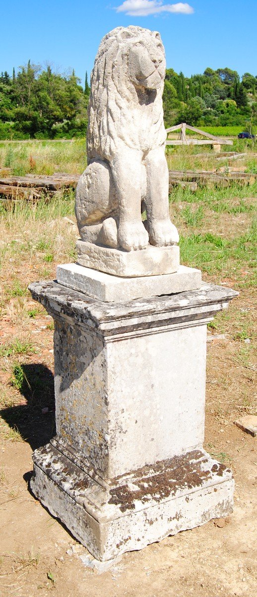 Belle Paire De Lions Assis Anciens en Pierre-photo-5