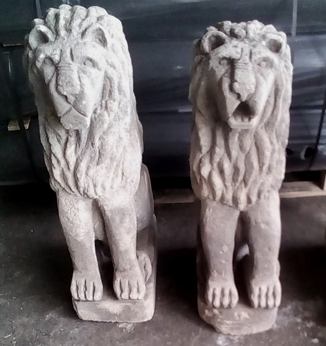 Belle Paire De Lions Assis Anciens en Pierre