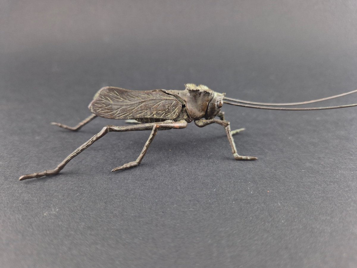 Jizai Okimono Articulated Grasshopper 20th Century-photo-3