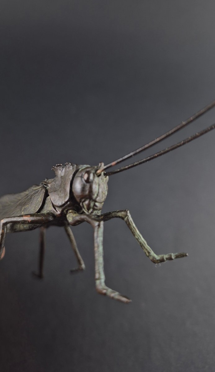 Jizai Okimono Articulated Grasshopper 20th Century-photo-2