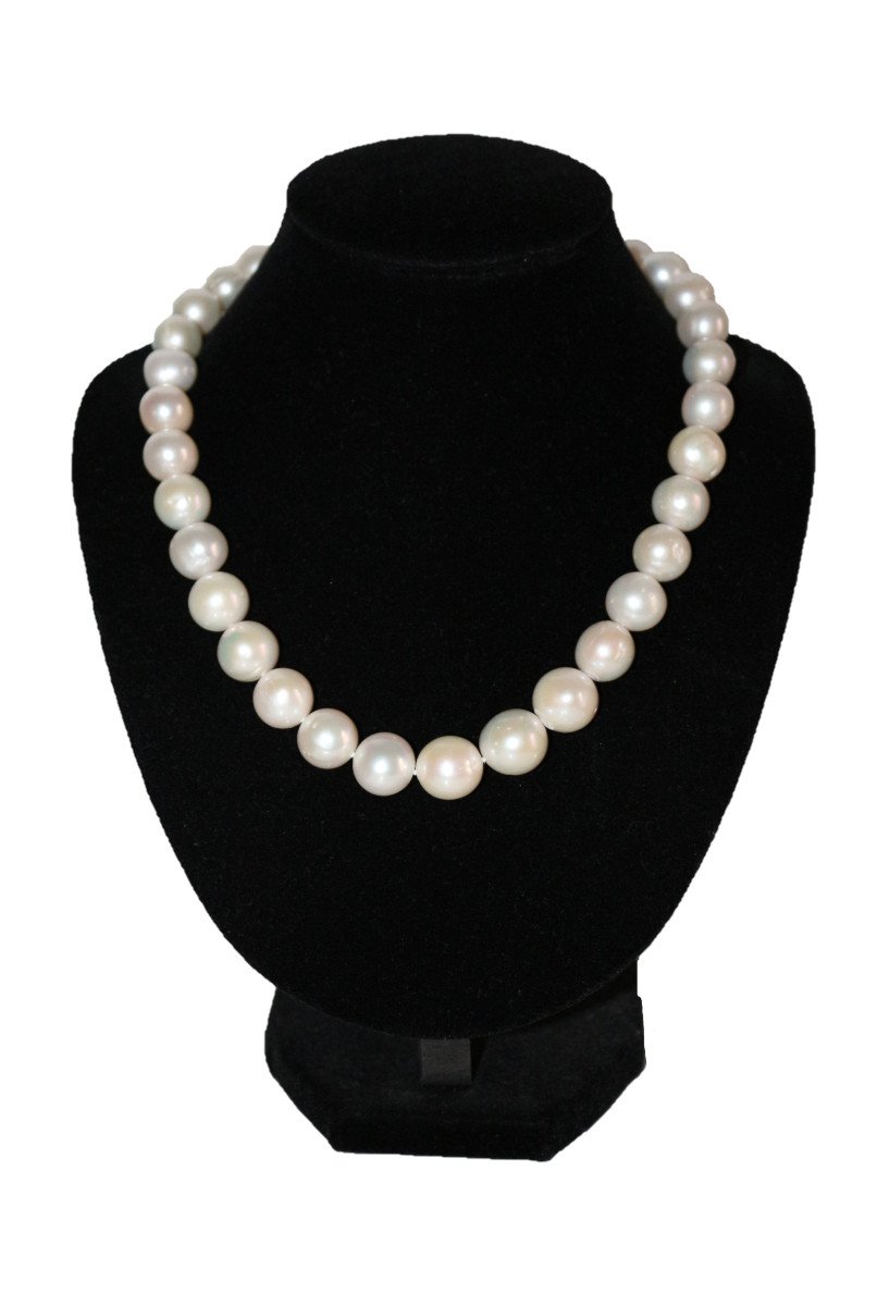 Large Cream Cultured Pearl Necklace