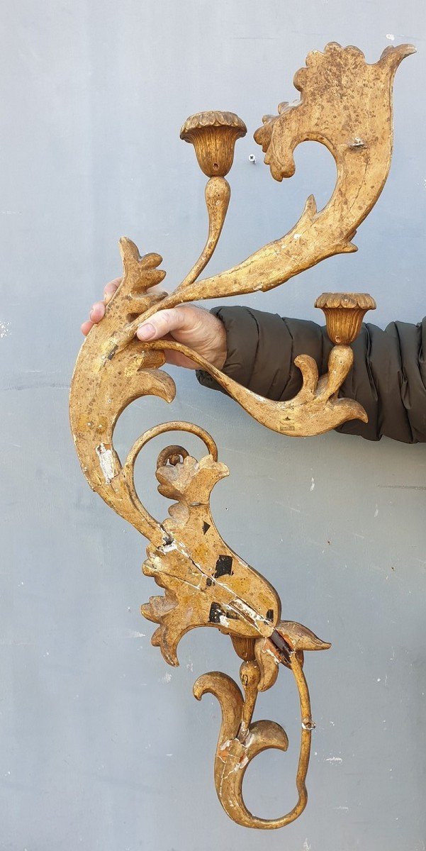 Large Sconce In Carved Golden Wood, Tuscany XIXth Century-photo-5