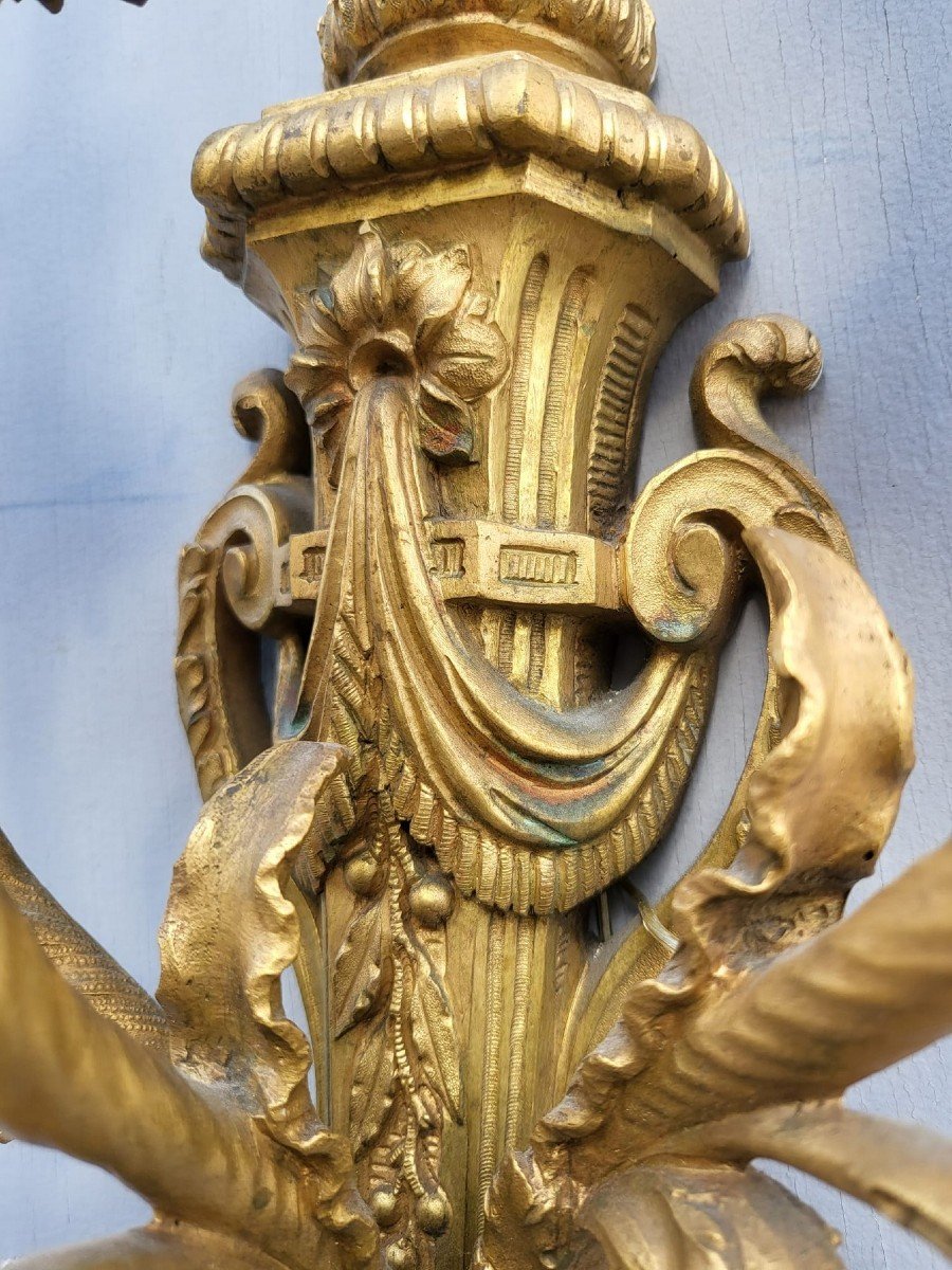 Pair Of Louis XVI Gilt Bronze Sconces, XIXth Century-photo-3