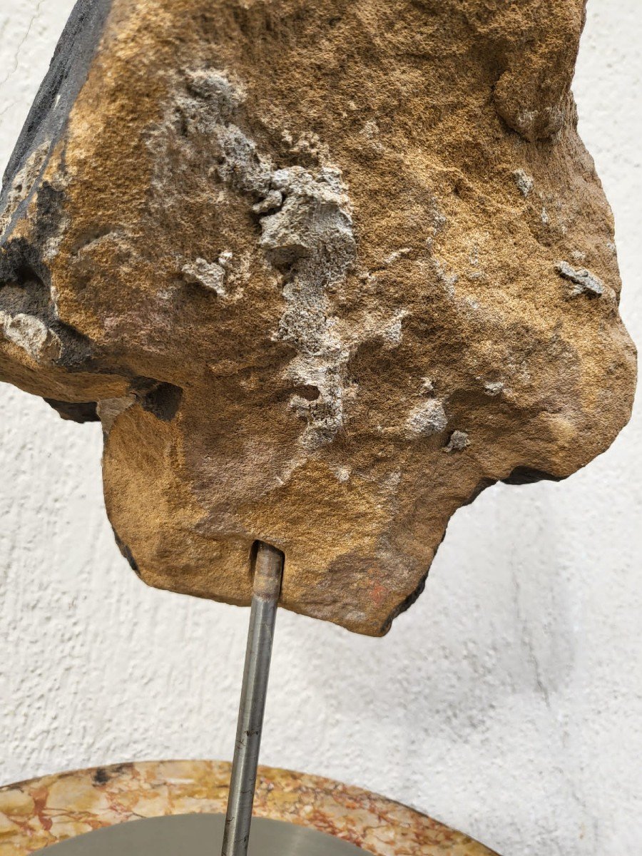 Stone Head Sculpture, United Kingdom, XVIIth Century-photo-4