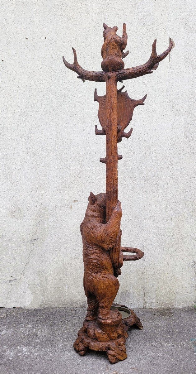 Black Forest, Bear Coat Rack, Late 19th Early 20th Century-photo-4