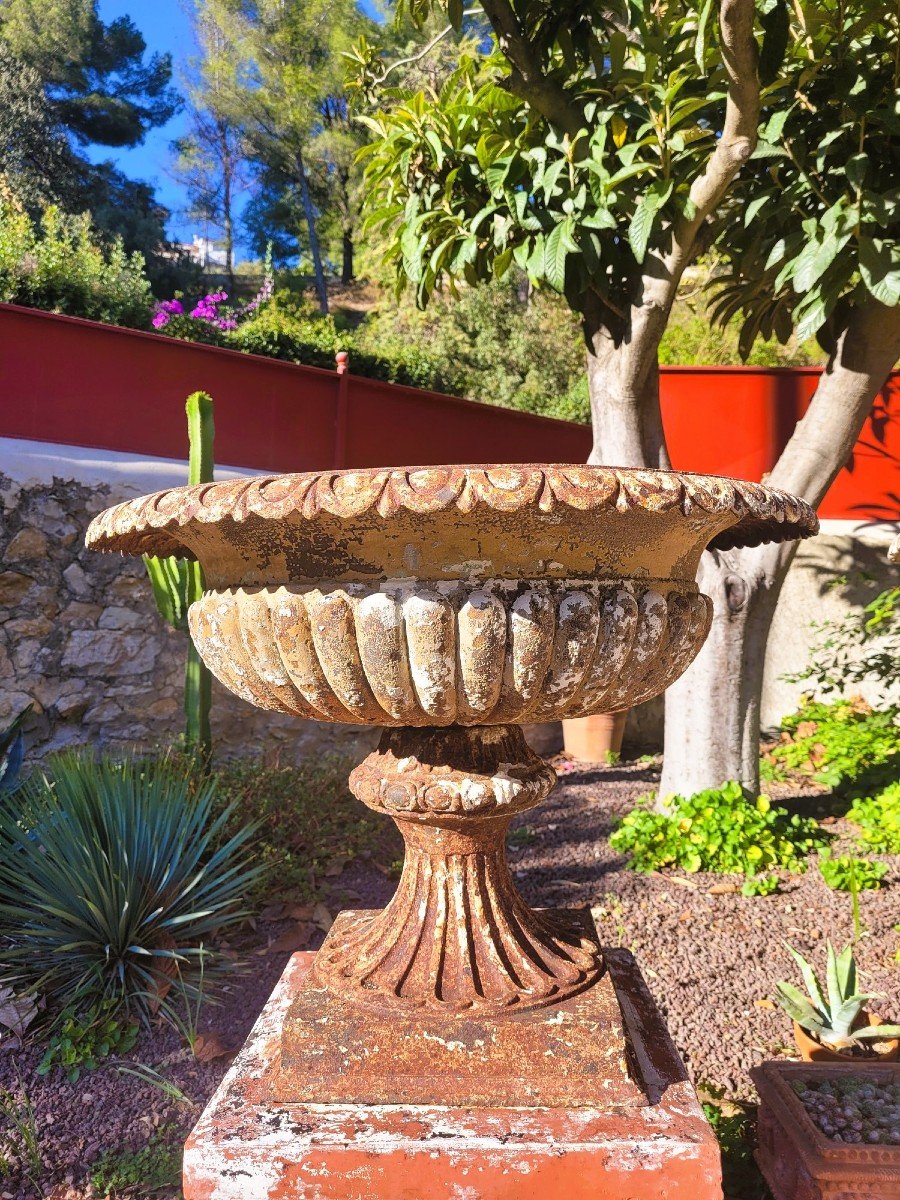 Set Of 4 Large Cast Iron Garden Vases On Terracotta Bases, 19th Century-photo-2