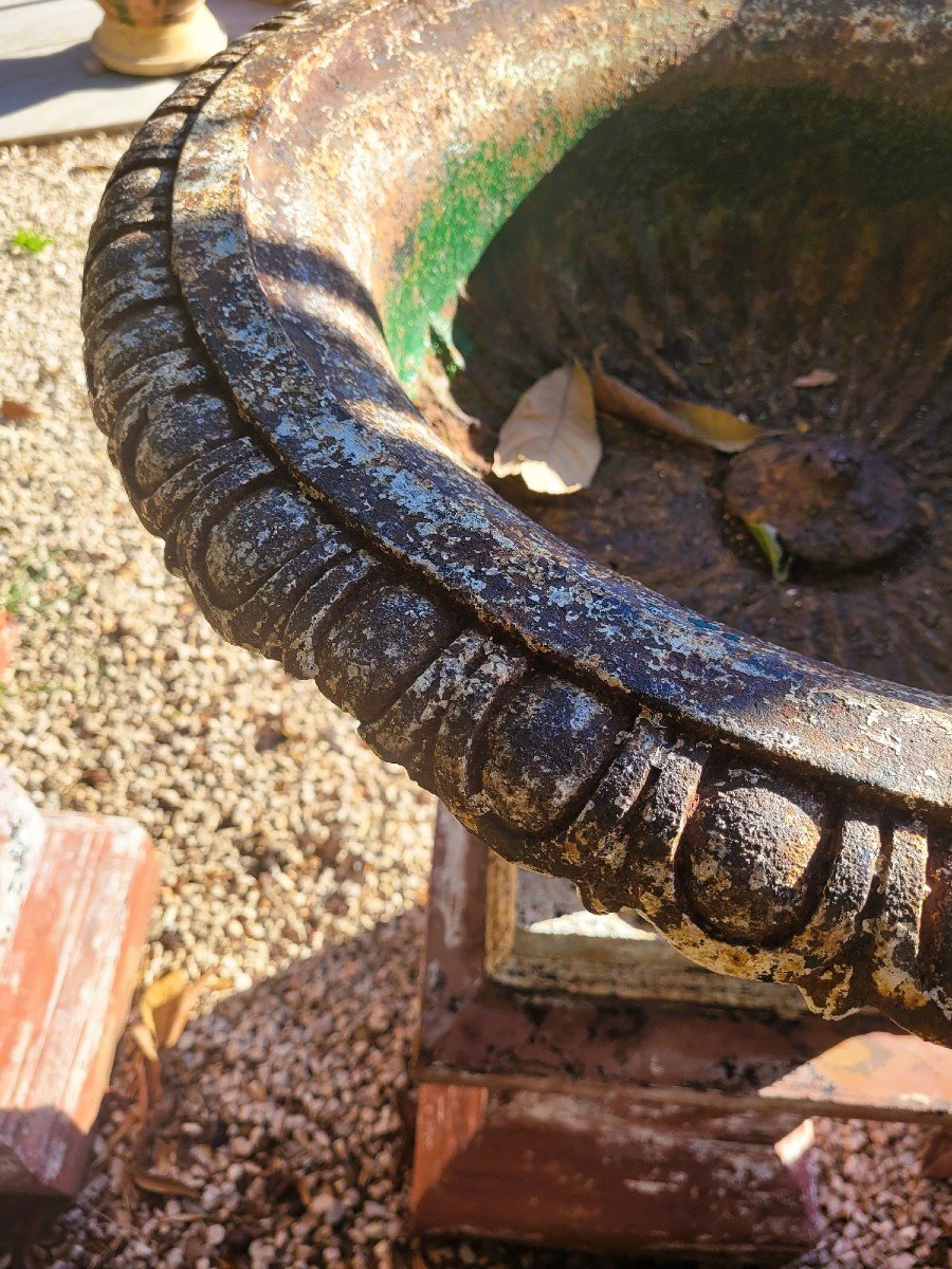 Set Of 4 Large Cast Iron Garden Vases On Terracotta Bases, 19th Century-photo-2