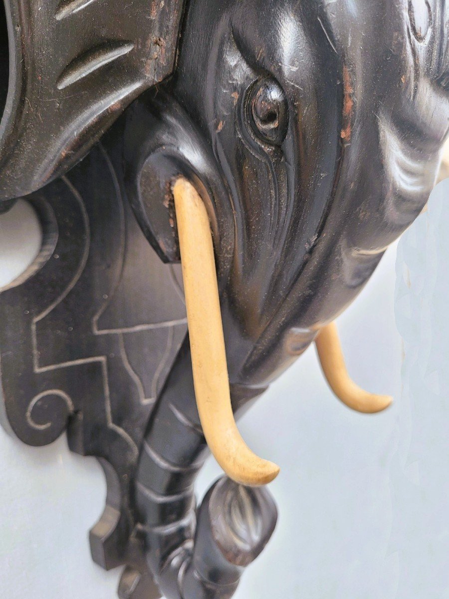 Wall Console, Carved Wooden Elephant Head, 19th Century-photo-3