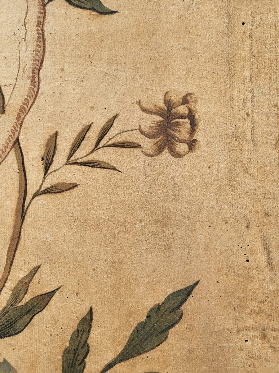 Wallpaper With Birds, Torino Or China, 18th/19th Century-photo-6