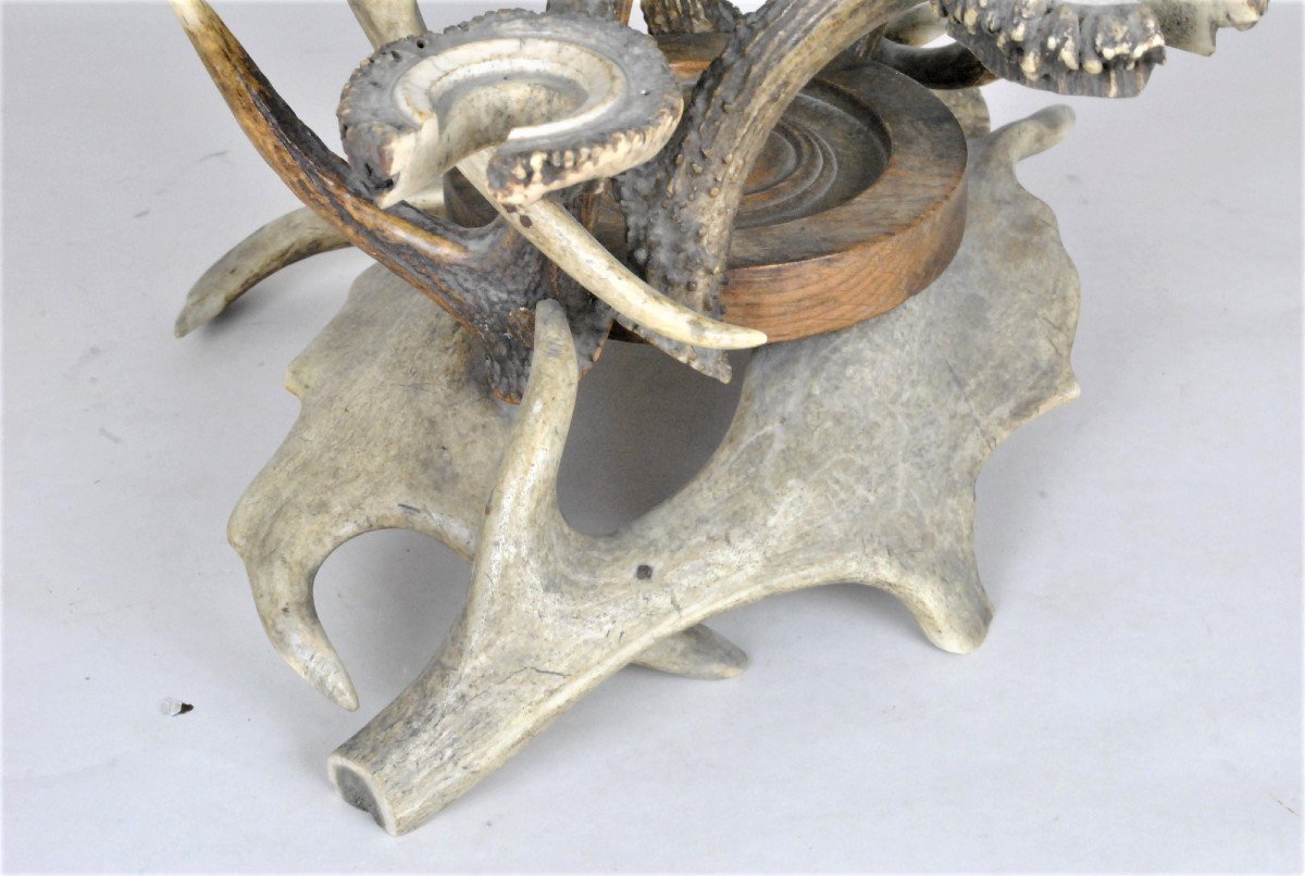 Glass Holder And Bottle In Horn, End Of The XIXth Century-photo-6