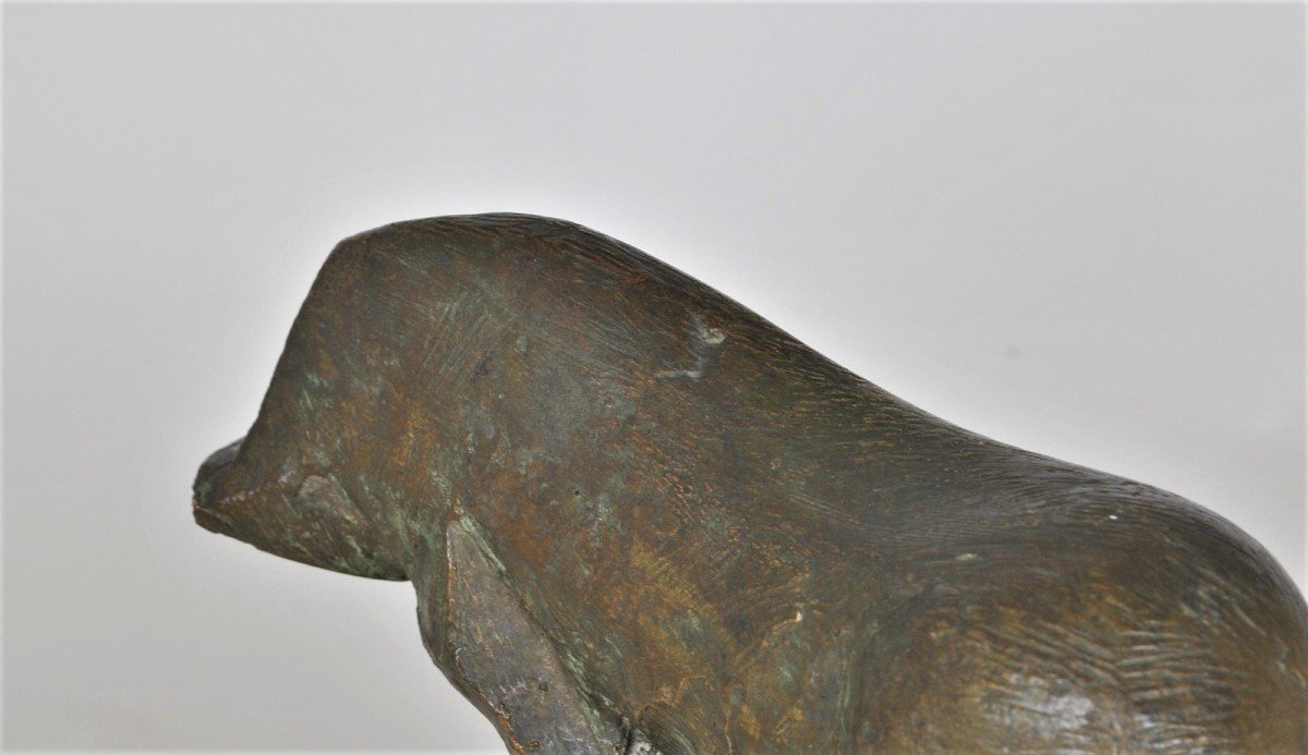 Animal Sans Tête, Sculpture En Bronze, Années 50/60-photo-7