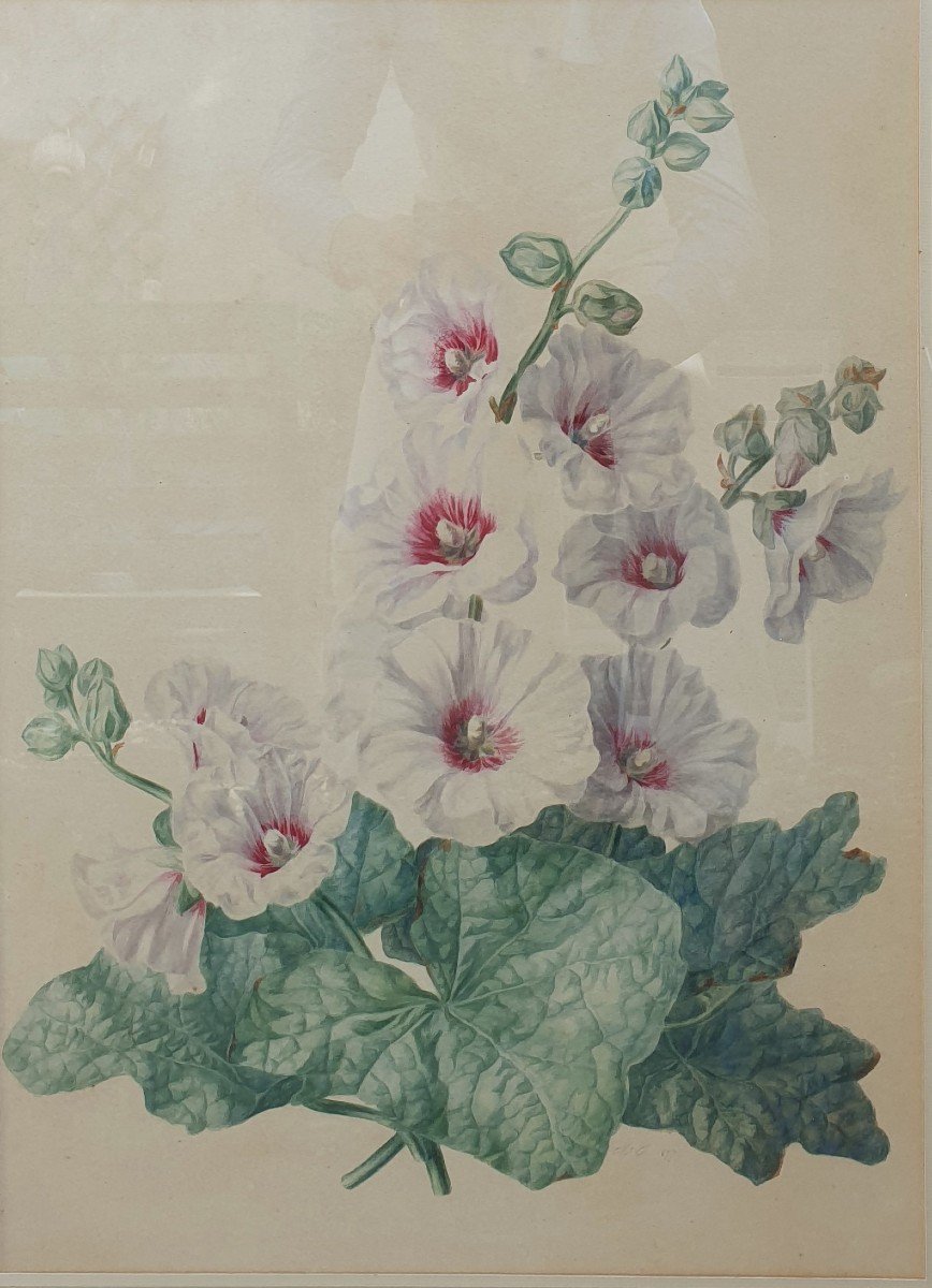 French School Of The Mid-19th Century - Hollyhocks-photo-2