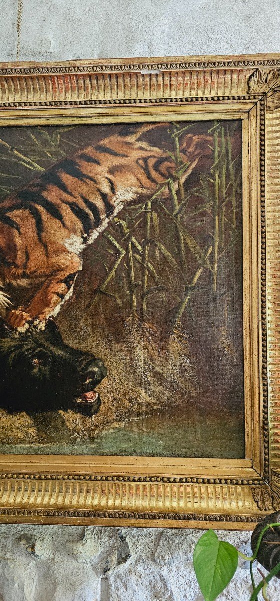 Large Oil On Canvas, Buffalo Surprised By A Tiger, 19th Century.-photo-4