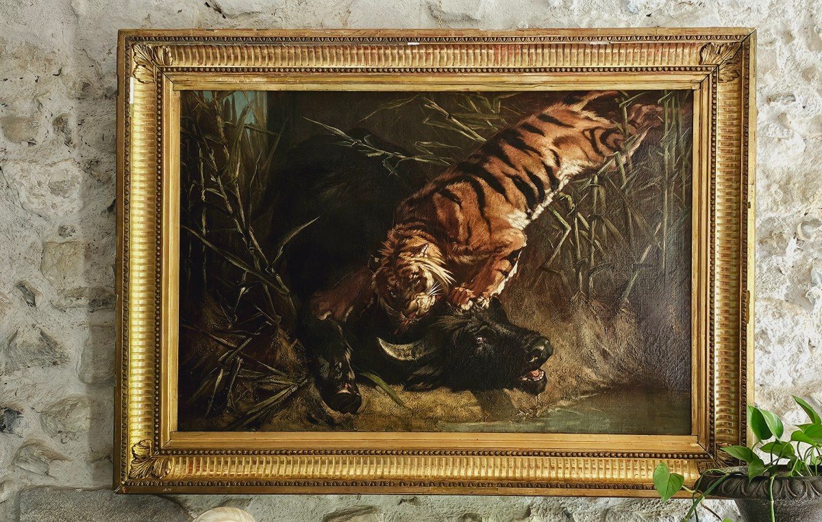 Large Oil On Canvas, Buffalo Surprised By A Tiger, 19th Century.