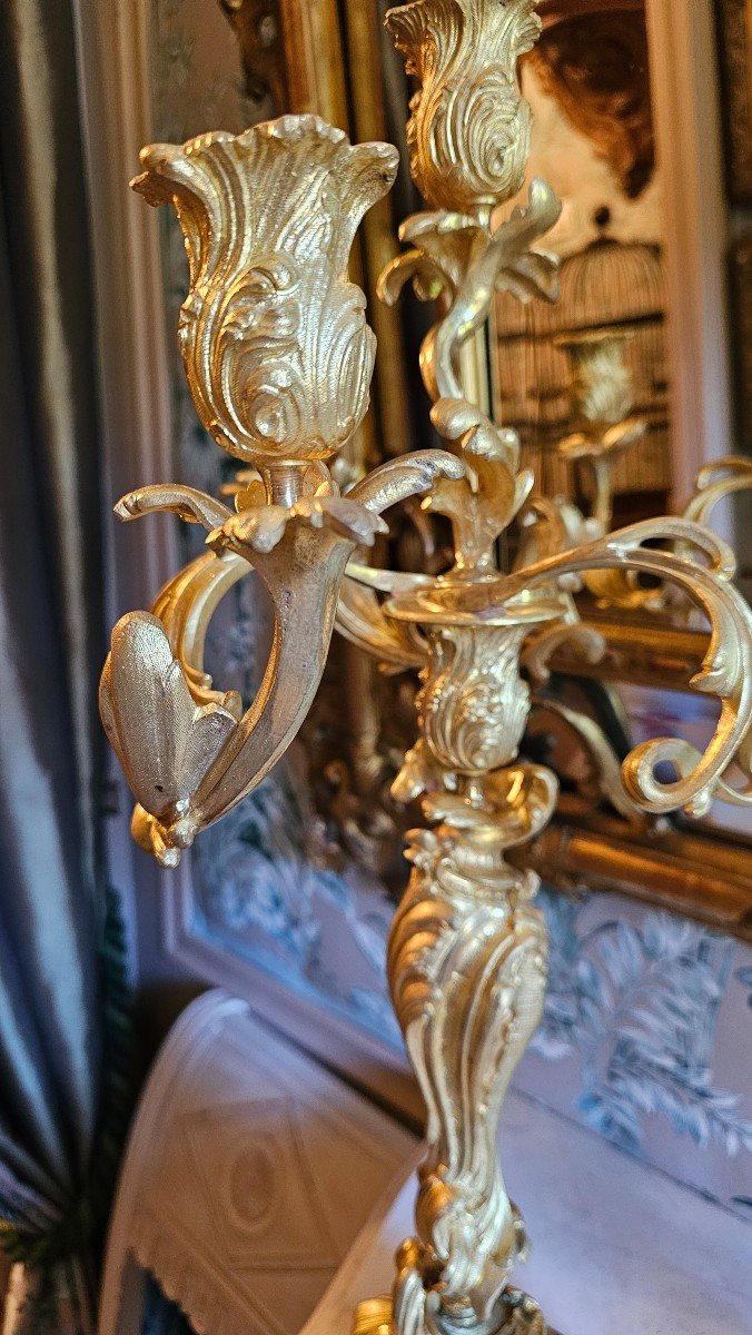 Pair Of Rocaille Candelabra In Gilt Bronze, Dlg Meissonnier, 19th Century.-photo-1