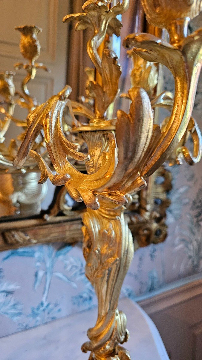 Pair Of Rocaille Candelabra In Gilt Bronze, Dlg Meissonnier, 19th Century.-photo-8