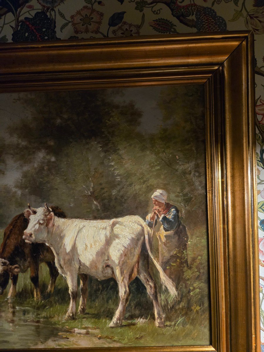 Vaches Buvant à Une Mare, Huile Sur Toile XIXème, école De Barbizon.-photo-1