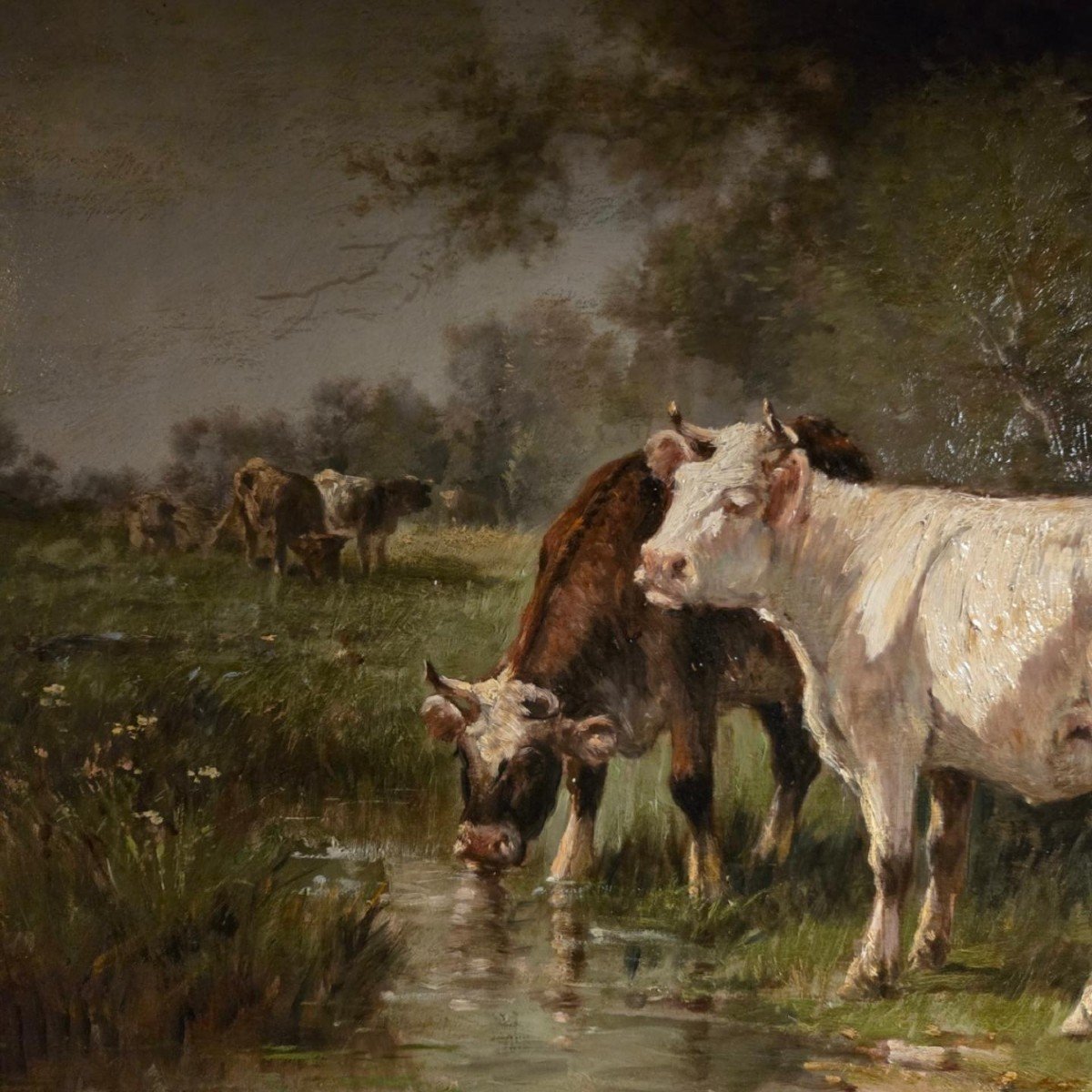 Vaches Buvant à Une Mare, Huile Sur Toile XIXème, école De Barbizon.