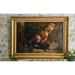 Large Oil On Canvas, Buffalo Surprised By A Tiger, 19th Century.