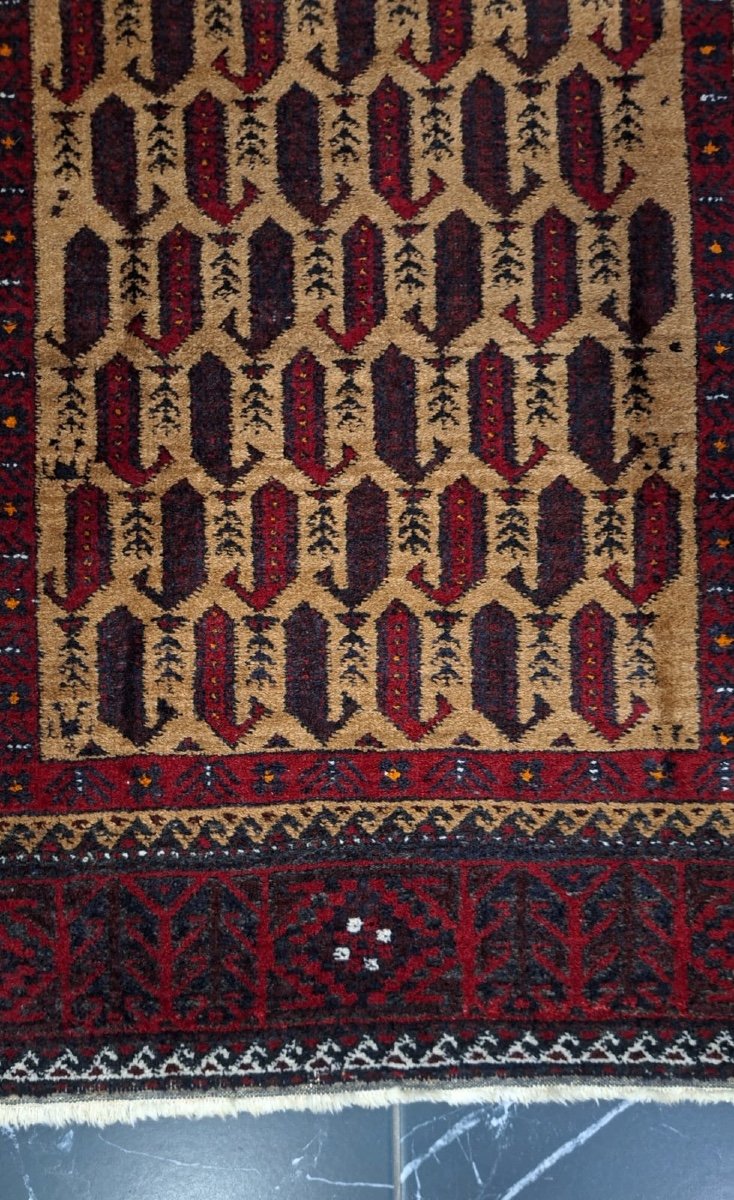 Handmade Baluch Rug, Afghanistan-photo-5