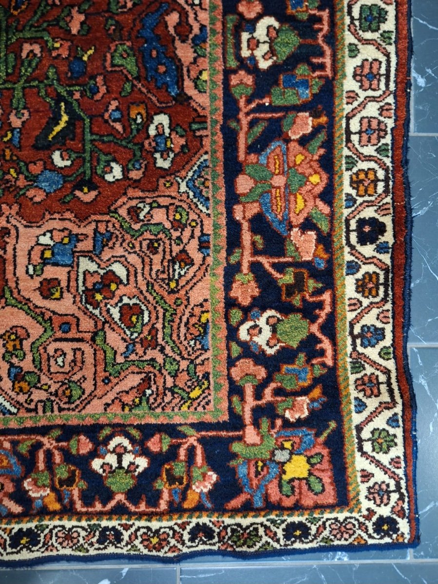 Tapis Ancien Fait Main Bakhtiari-photo-4