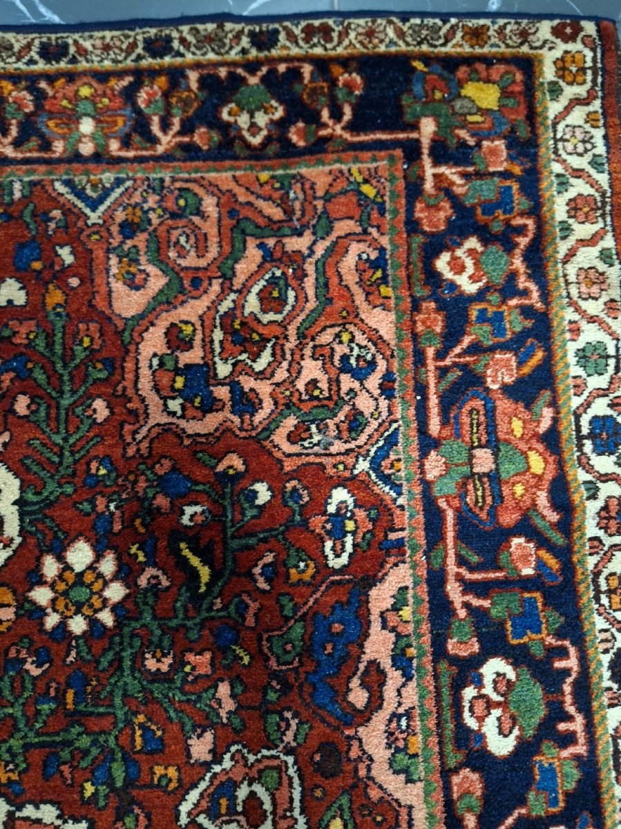 Tapis Ancien Fait Main Bakhtiari-photo-7