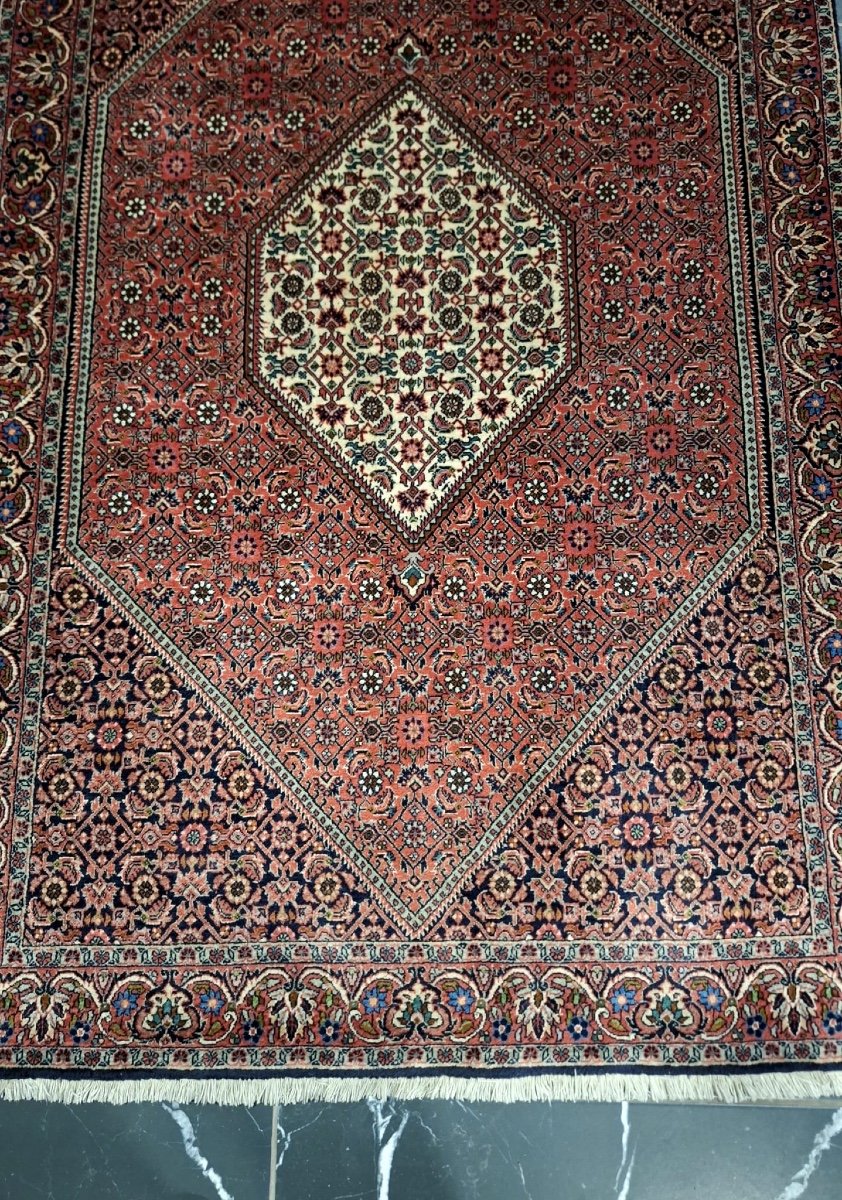 Tapis Persan Noué Main Bidjar Tekab-photo-3